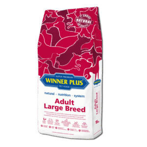 Adult Large breed