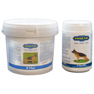 WINNER PLUS b-plus