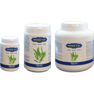 Three containers of Algomar productWINNER PLUS ALGOMAR Zeewiertabletten