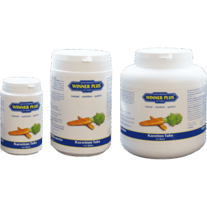 WINNER PLUS Worteltabletten met biotine